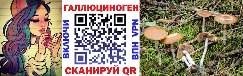 Псилоцибиновые грибы Psilocybine cubensis  Вязники 